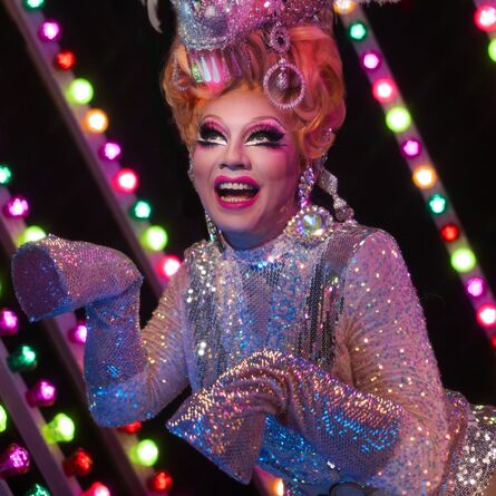 Ginger Johnson: Show Pony