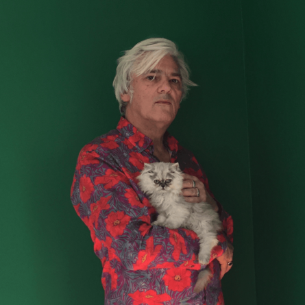 Robyn Hitchcock