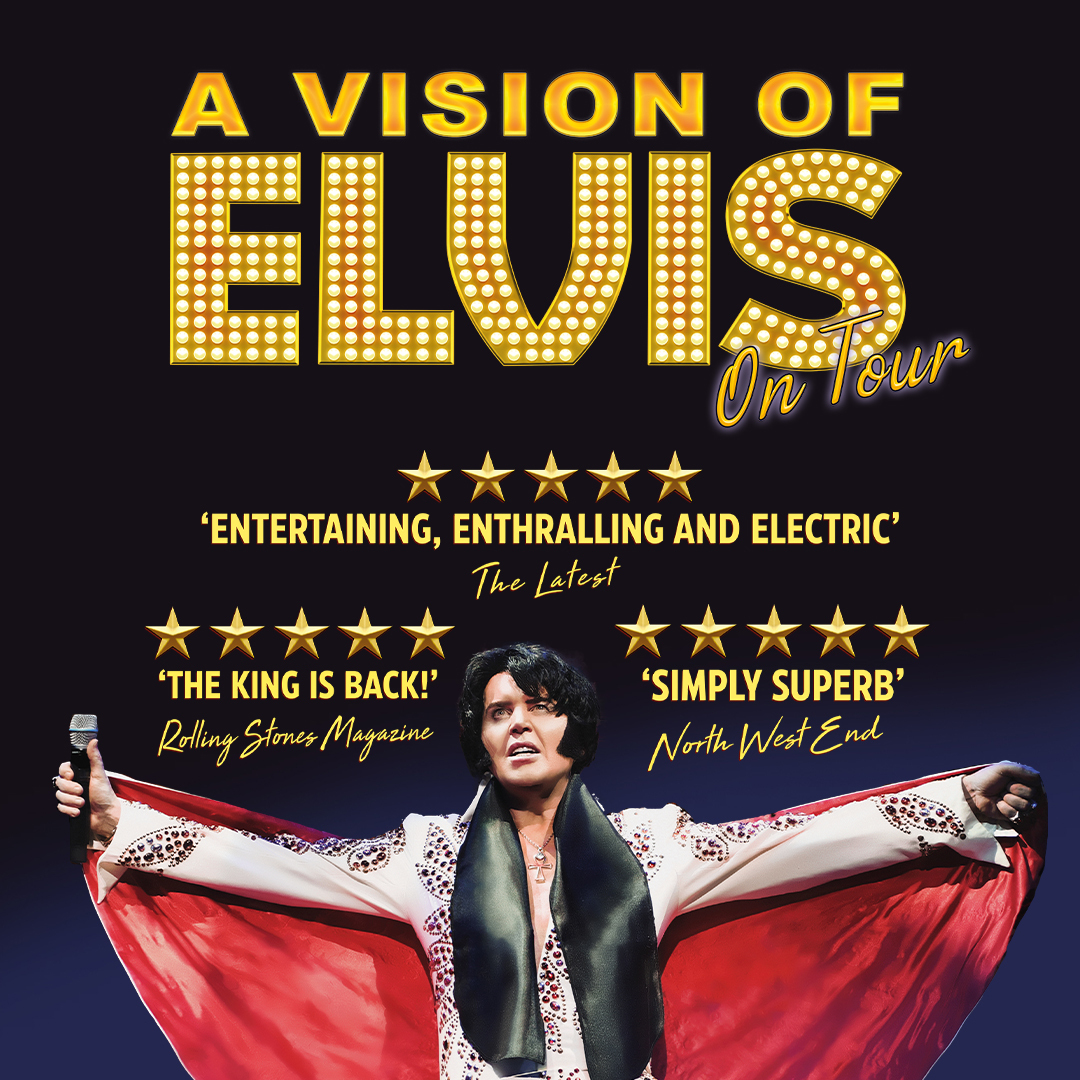 A Vision Of Elvis