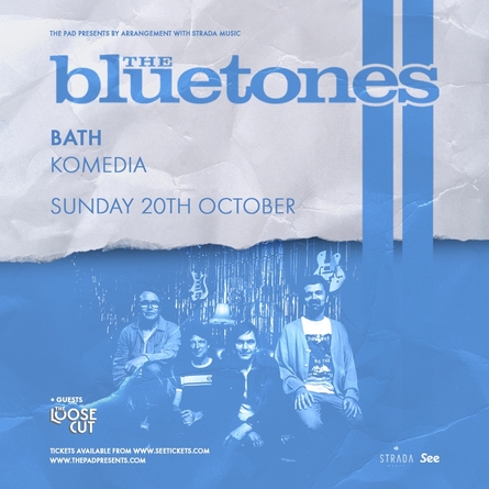 The Bluetones poster