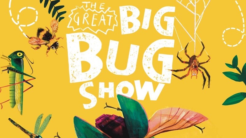 31930Short Breaks 2026: The Great Big Bug Show with Simon Mole and Gecko