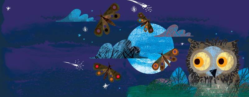 WOW! It’s Night-Time (2-5 yrs)