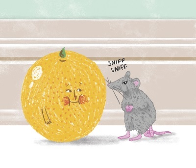The Chronic Identity Crisis of Pamplemousse